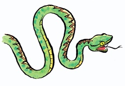 Green snake hissing
