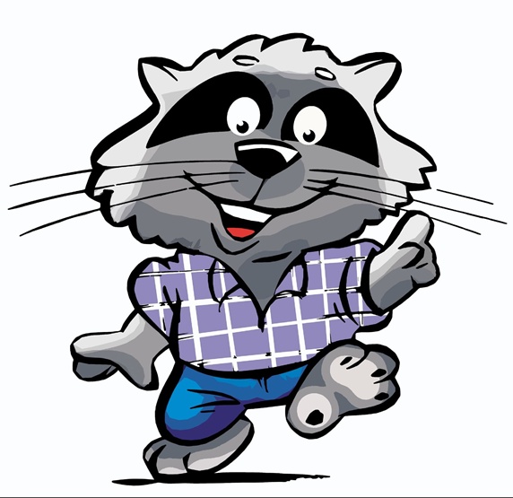 Raccoon in checked shirt