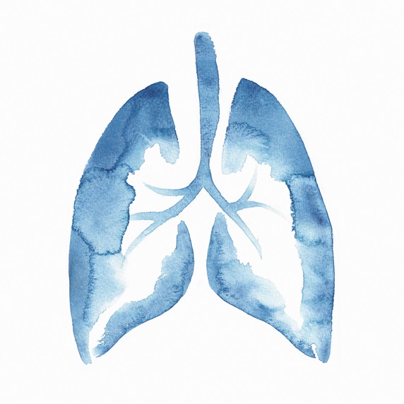 Blue watercolour lungs
