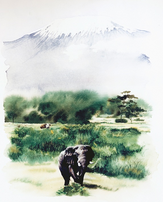 Elephant walking across landscape
