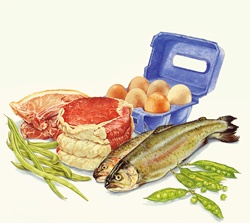 Food with protein, meat, fish, eggs and green beans