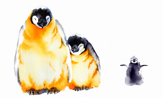 Portrait of penguin family