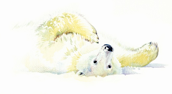 Polar bear laying in snow