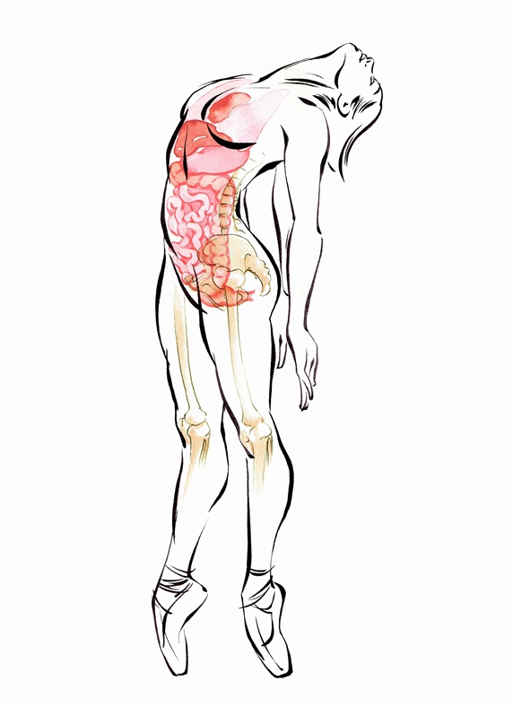 Skeleton and internal organs of ballet dancer bending over backwards