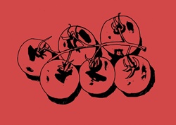 Tomatoes on red background