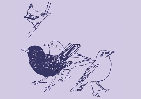 Birds on purple background
