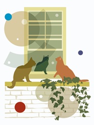 Domestic cats on wall