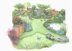 Various plants and animals in garden