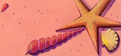 Close-up of starfish and seashells on beach