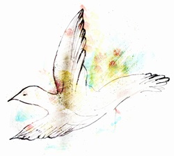 White peace dove flying