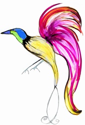 Bright, colorful bird of paradise