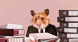 Hamster businessman sitting at desk with piles of work