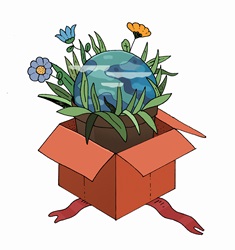Planet earth pot plant in gift box