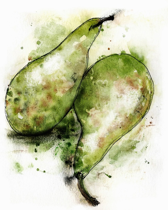 Close up of two green Conference pears