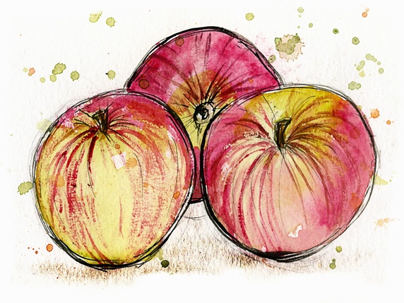 Close up of three Jonagold apples