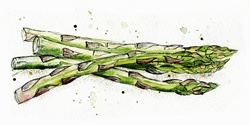 Close up of asparagus spears