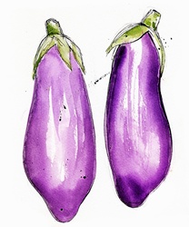 Close up of two aubergines