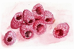 Close up of raspberries