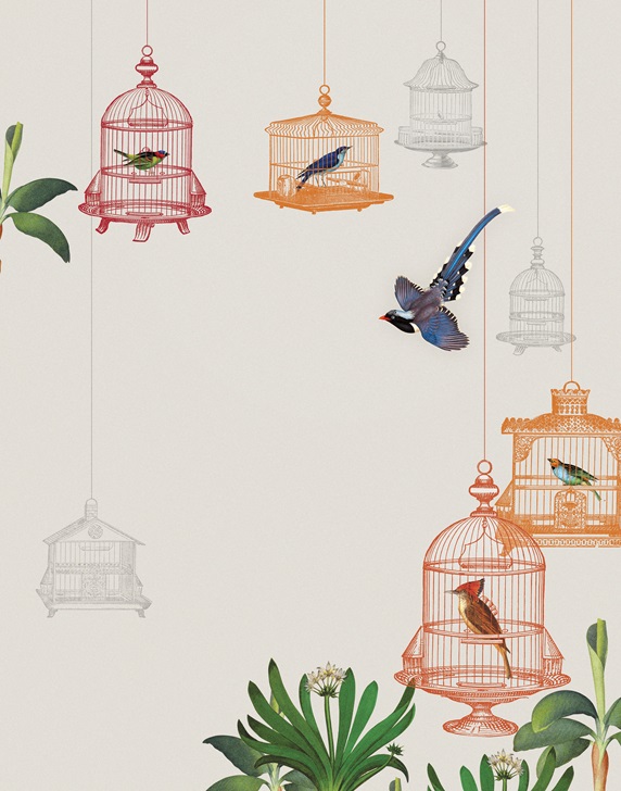 Brightly coloured birds in birdcages