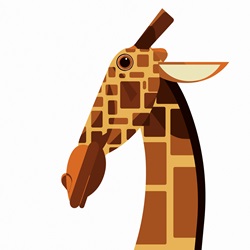 Close up of giraffe looking at camera