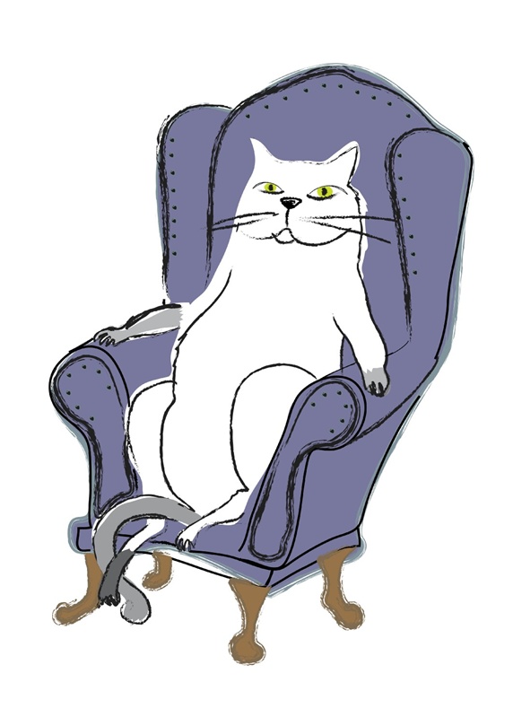 Cat sitting in armchair