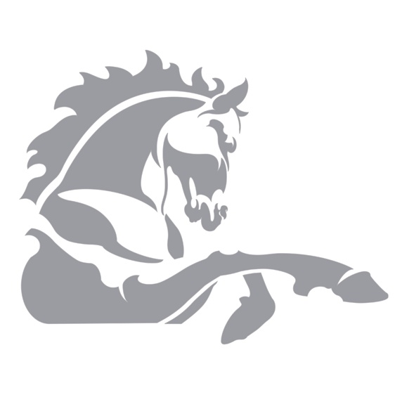 Horse icon on white background