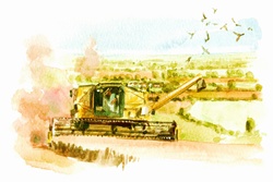 Watercolor painting of combine harvester in countryside