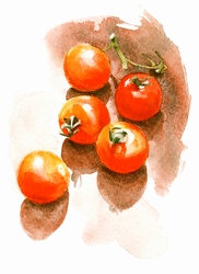 Watercolor painting of fresh tomatoes