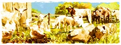 Watercolor painting of various farmyard animals in field together