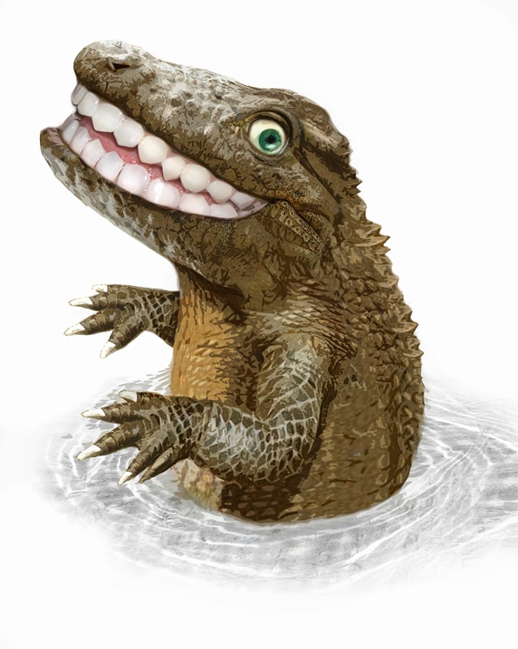Happy crocodile with toothy smile