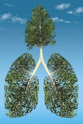 Tree growing from green lungs