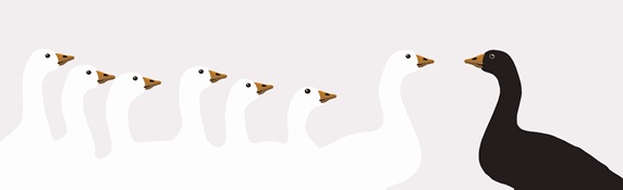 Black goose facing row of white geese