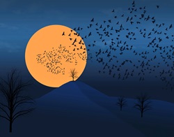 Flock of birds silhouetted in moonlight