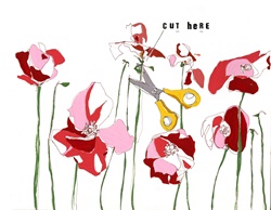 Scissors and flowers on white background