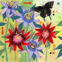Black Swallowtail Butterfly and Passion Flowers (Passiflora)
