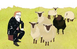 Businessman and sheep