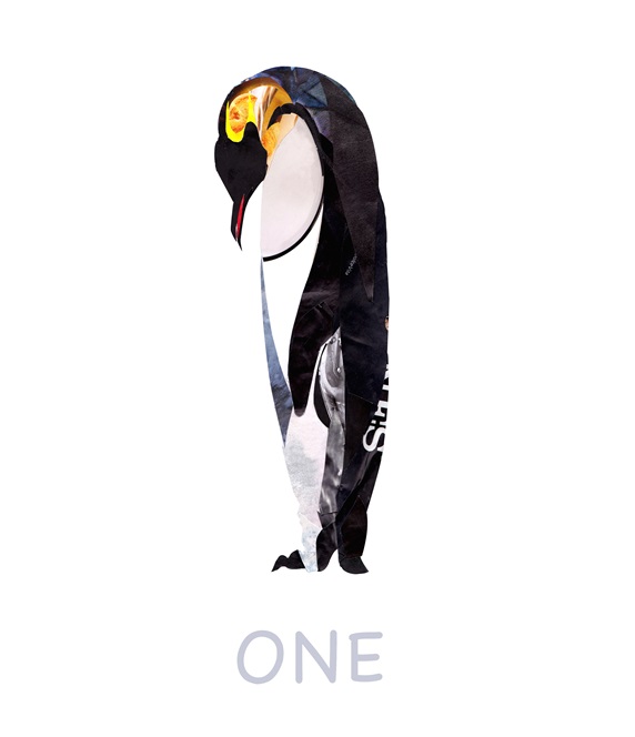 Penguin against white background