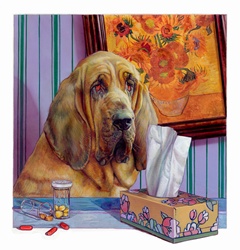 Pills and tissues next to bloodhound dog with a cold