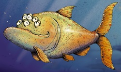 Fish with multiple eyes