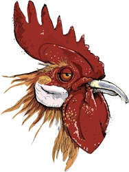 Rooster's head