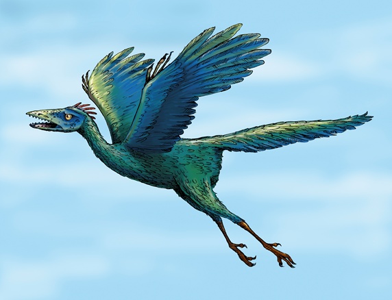 Archaeopteryx flying