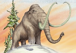 Mammoth with large tusks standing in snow