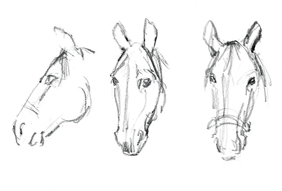 Three heads of horses
