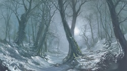 Moonlit snowy forest