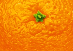 Extreme close up of orange peel