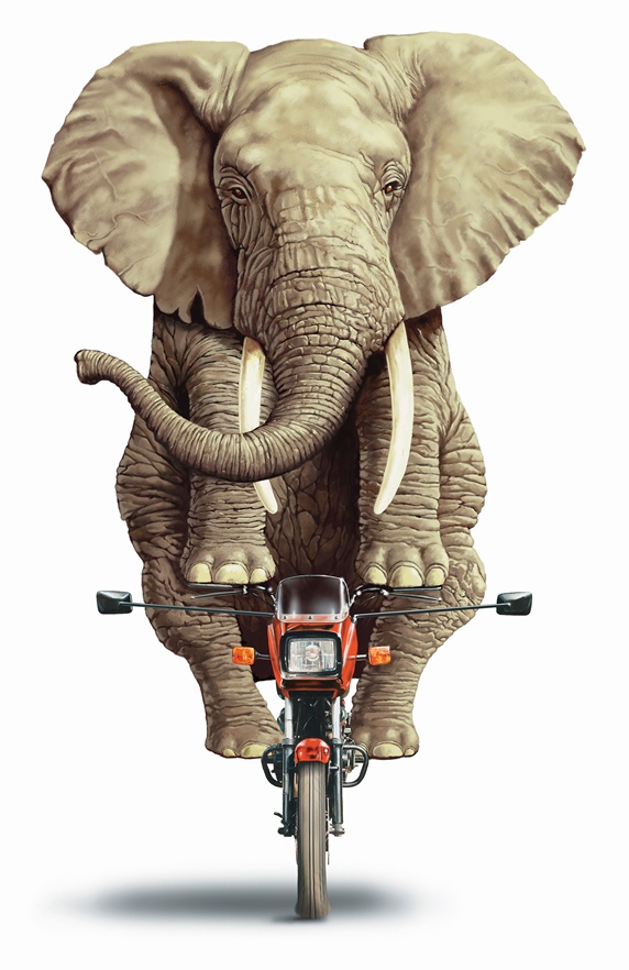Elephant riding on a motorbike