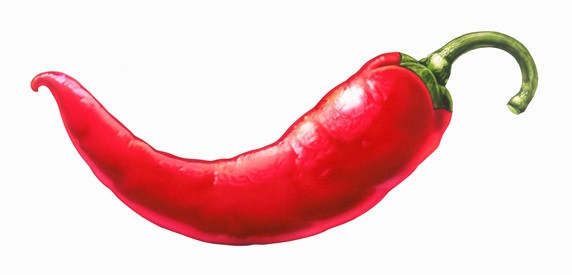 Close up of single red chilli pepper