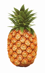 Single whole pineapple