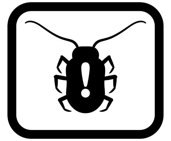 Bug on white background