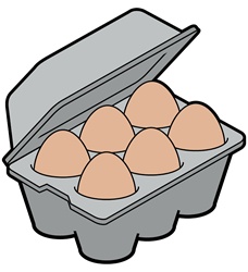Egg carton on white background